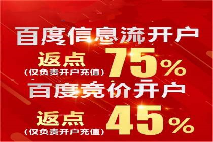 百度竞价账户管理攻略：实战案例与技巧分享